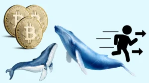 فرار معامله‌گران خرد از بازار، خرید بی‌سروصدای نهنگ‌ها در کف قیمتی