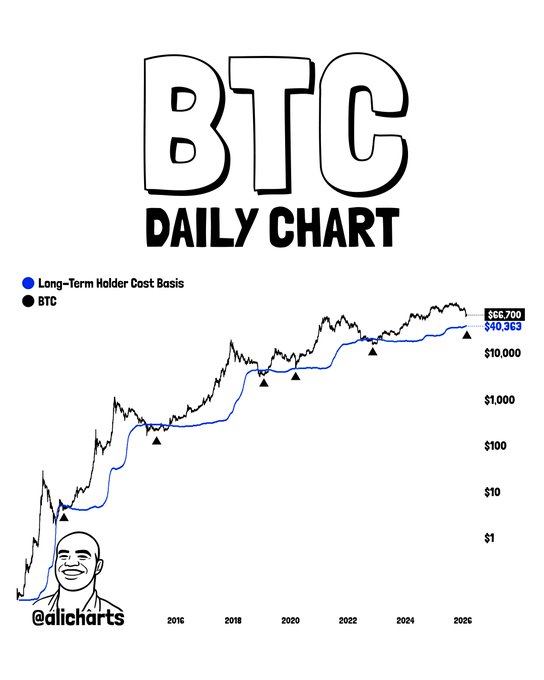 نهنگ‌ها کف قیمت بیت‌کوین را مشخص کردند