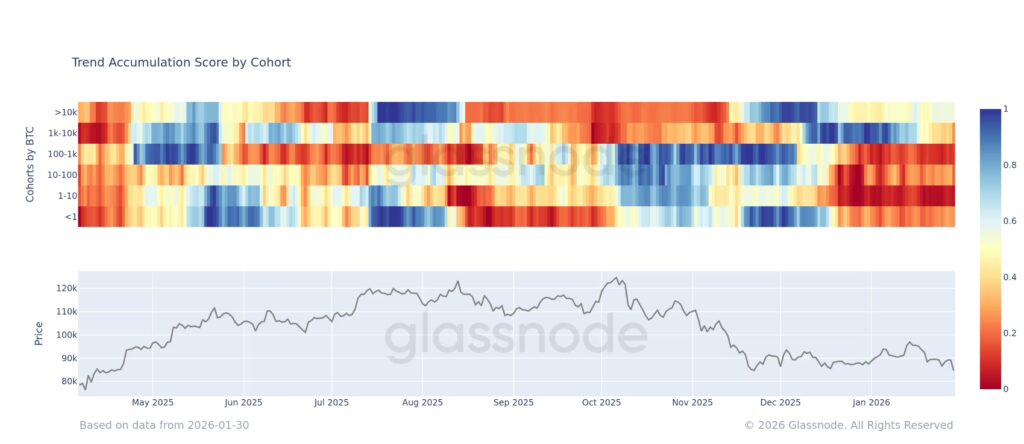 فرار معاملهگران خرد از بازار، خرید بیسروصدای نهنگها در کف قیمتی