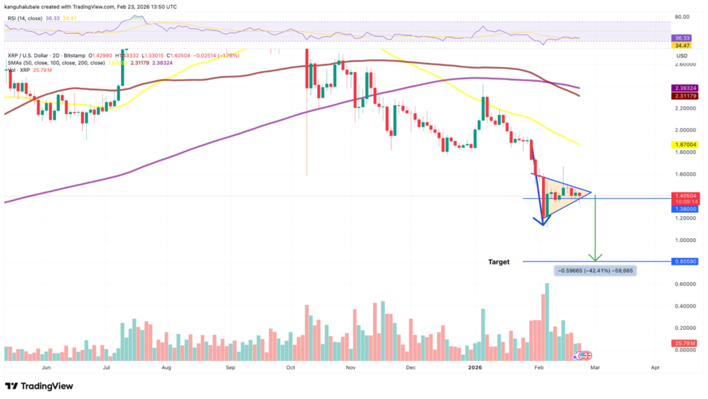 هشدار به هولدرهای ریپل: نمودار قیمت و تحرکات نهنگها خبر از سقوط به زیر ۱ دلار میدهند