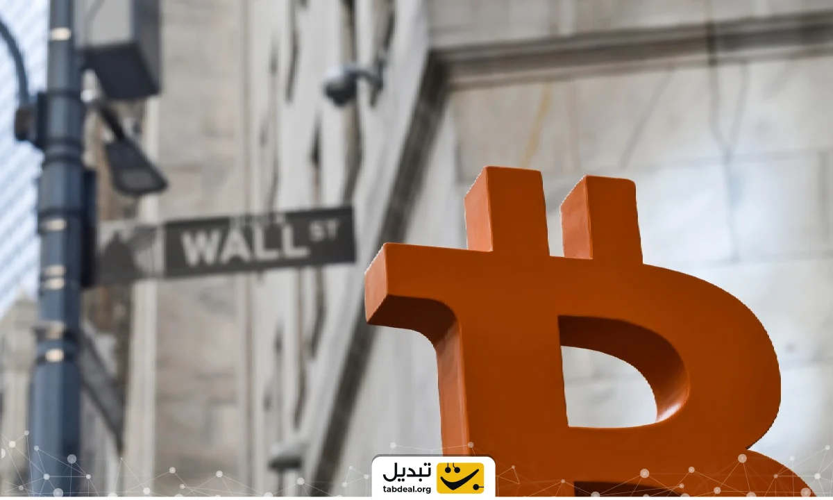 بیت کوین در سبد دارایی ۲۰۳۰؛ دارایی امن یا ریسکی؟