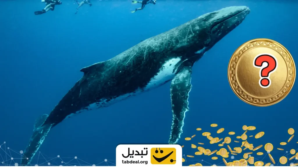 نهنگ بازار با خرید ۸۴ میلیون دلاری سیگنال خرید داد