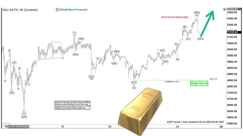 آیا طلا آماده رکوردشکنی‌های تازه است؟ تحلیل جامع از دیدگاه نظریه امواج الیوت
