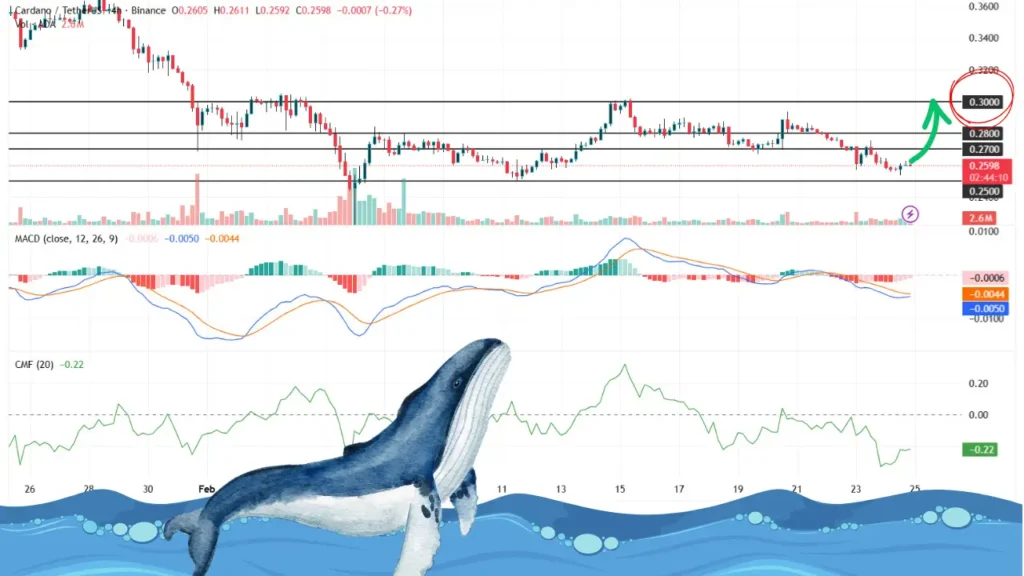 خرید سنگین نهنگ‌ها از این آلت ‌کوین؛ آماده صعود بزرگ باشید