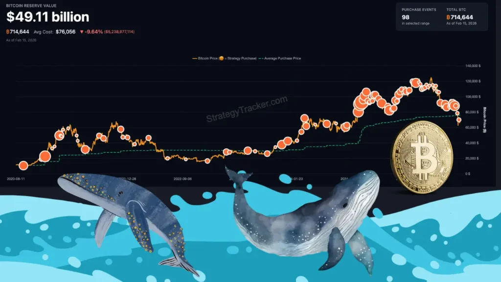 نهنگ بزرگ وقتی همه می‌فروشند، خریدار بیت‌کوین است