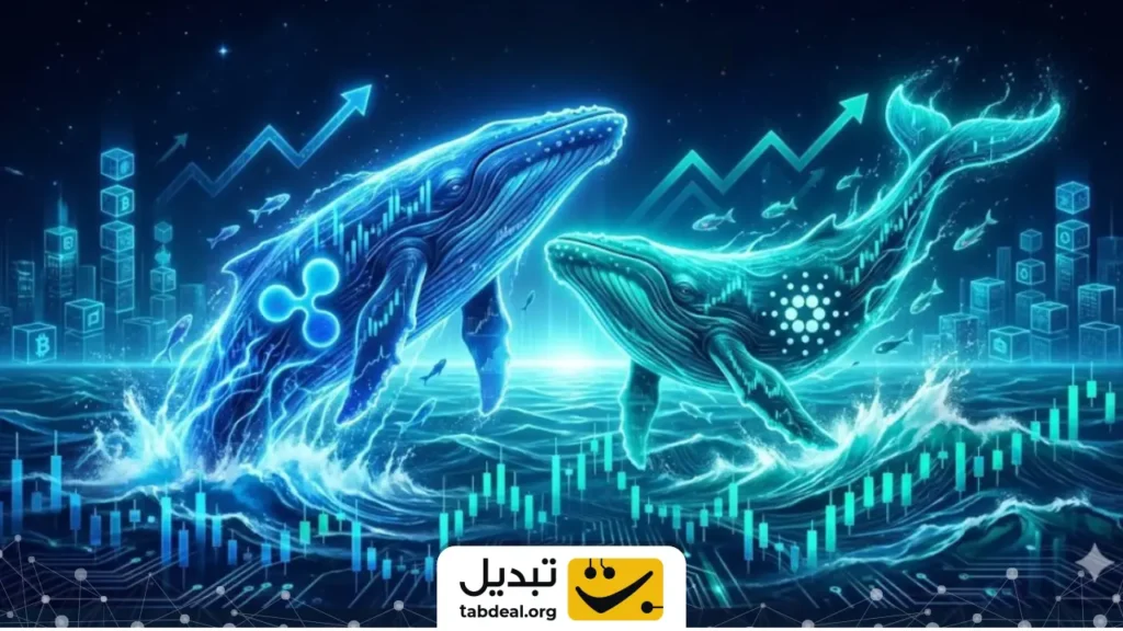 ورود نهنگ‌ها به کاردانو و ریپل | اهداف قیمتی جدید مشخص شدند