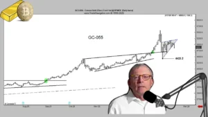 پیش‌بینی تحلیلگر مشهور: بیت‌کوین برمی‌گردد، طلا سقوط می‌کند