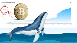 نهنگ شناخته‌شده در کف قیمت، ۷۵ میلیون دلار از این ارز دیجیتال خرید