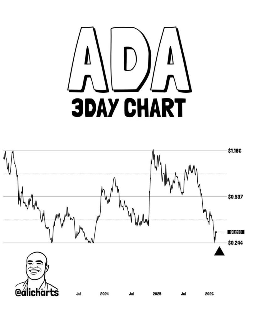 بهترین منطقه خرید آلت کوین بزرگ بازار
