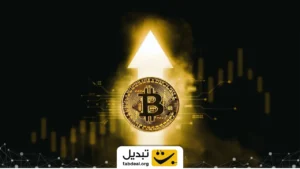 سبد سرمایه‌گذاری مناسب، عامل موفقیت در بازار ارز دیجیتال
