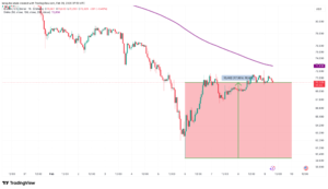 ضیافت نهنگ‌ها در کف قیمت؛ خرید ۴۰ هزار بیت کوین در محدوده ۶۰ هزار دلار