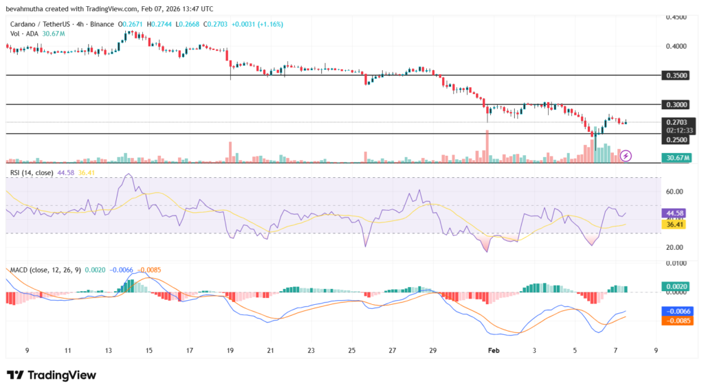پرواز ۱۵ درصدی توکن Midnight و تأثیر آن بر پیش‌بینی قیمت کاردانو
