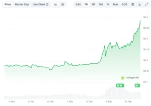 انفجار ۱۰۰ درصدی یک میم ‌کوین