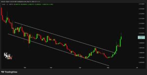 تحلیل تکنیکال فلر FLR