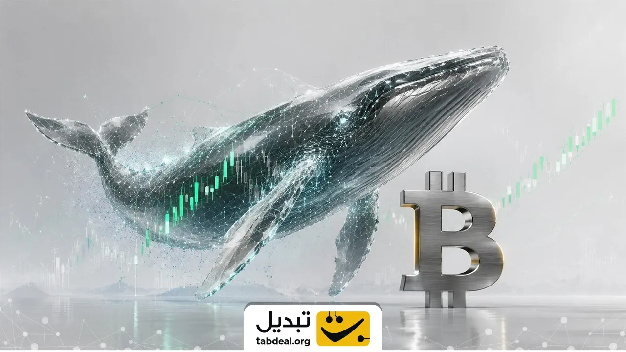 تحلیل عمیق الگوهای برگشتی در بازار ارز دیجیتال