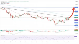 ثبات قیمت بیت‌کوین | این آلت‌کوین‌ها جهش کردند