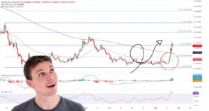 ۲ آلت‌کوین پرپتانسیل در روند صعودی جدید