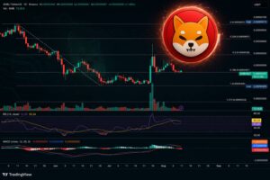 احتمال جهش میم‌کوین محبوب