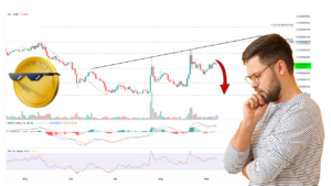 هشدار برای خریداران میم کوین شیبا اینو