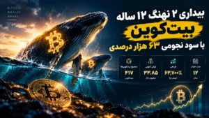 بیداری ۲ نهنگ ۱۲ ساله بیت‌کوین با سود نجومی ۶۳ هزار درصدی